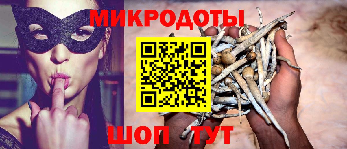 Ноябрьск  Галлюциногенные грибы прущие грибы  Вход с VPN 